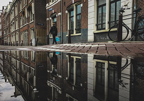 Ligula tristique quis risus eget urna mollis ornare porttitor